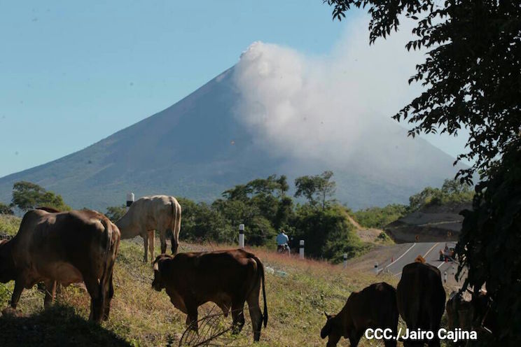 Momotombo activado: volcán emana cenizas y gases