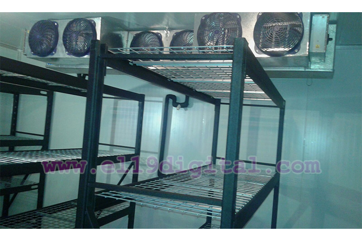 Avanza construcción de Cuarto Frío de la Cinemateca Nacional