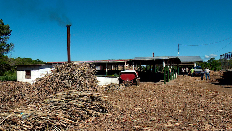 Dulce, churros y melcochas para la tradicional gritería