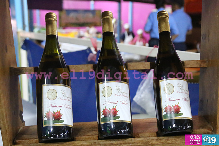 Productos naturales y 100% nicaragüenses despuntan en Feria Navideña de la Economía Familiar