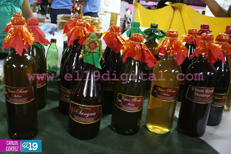 Productos naturales y 100% nicaragüenses despuntan en Feria Navideña de la Economía Familiar