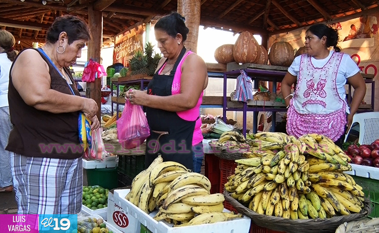 Parque Nacional de Ferias realiza ‘El Verdurazo Navideño’ y degustación de bebidas de la época  