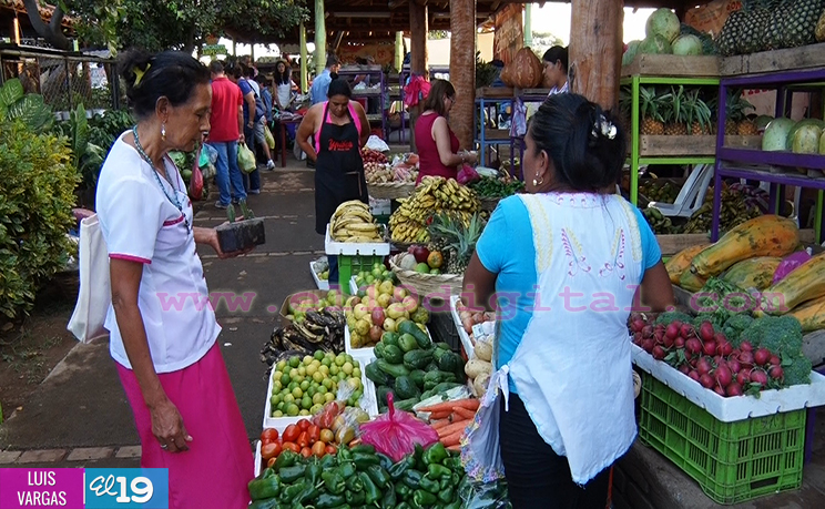 Parque Nacional de Ferias realiza ‘El Verdurazo Navideño’ y degustación de bebidas de la época  