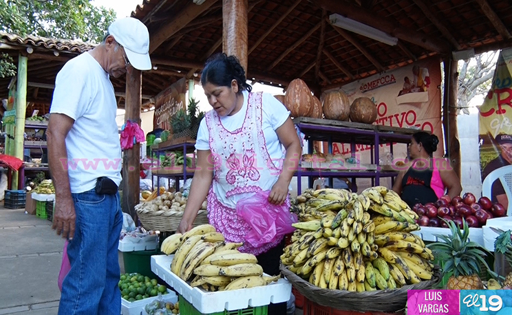 Parque Nacional de Ferias realiza ‘El Verdurazo Navideño’ y degustación de bebidas de la época  