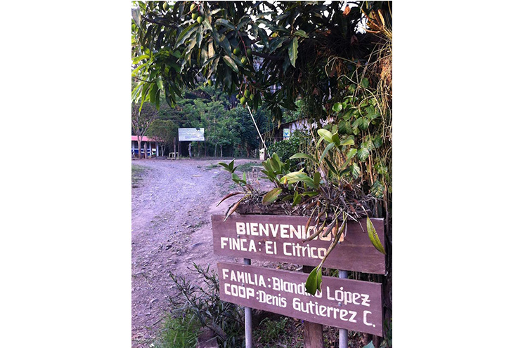 Publican en Finlandia libro sobre turismo y hospitalidad en las montañas del norte de Nicaragua
