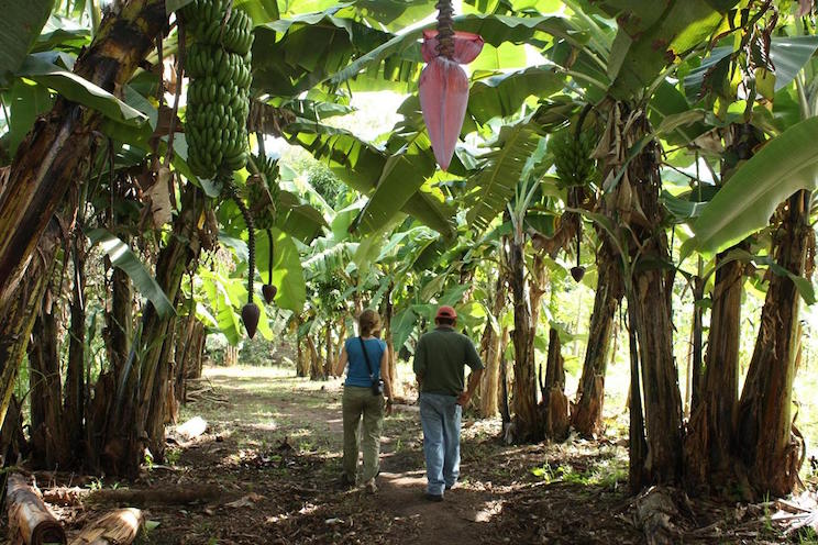 Publican en Finlandia libro sobre turismo y hospitalidad en las montañas del norte de Nicaragua