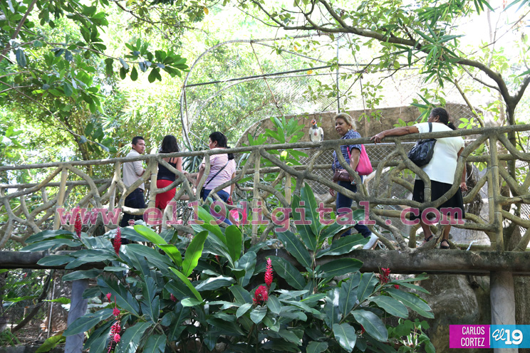 Visitar el Zoológico Nacional, una aventura que debe ser vivida por toda la familia