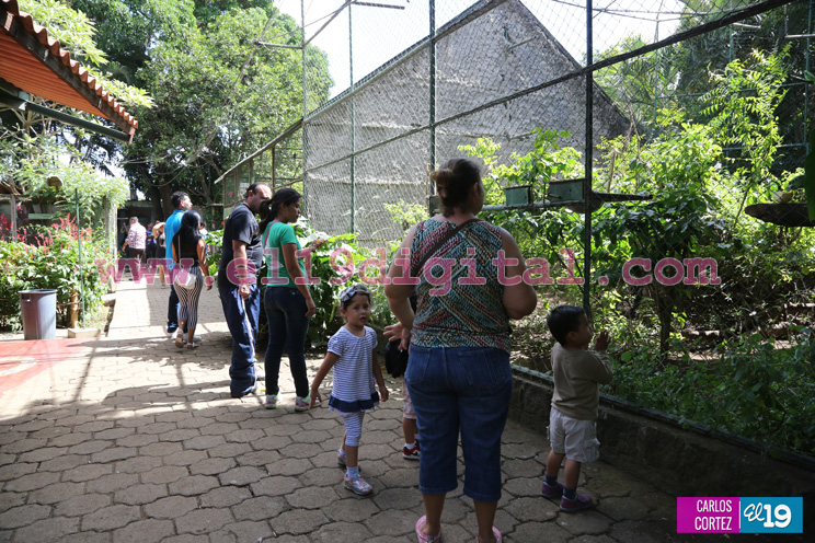Visitar el Zoológico Nacional, una aventura que debe ser vivida por toda la familia