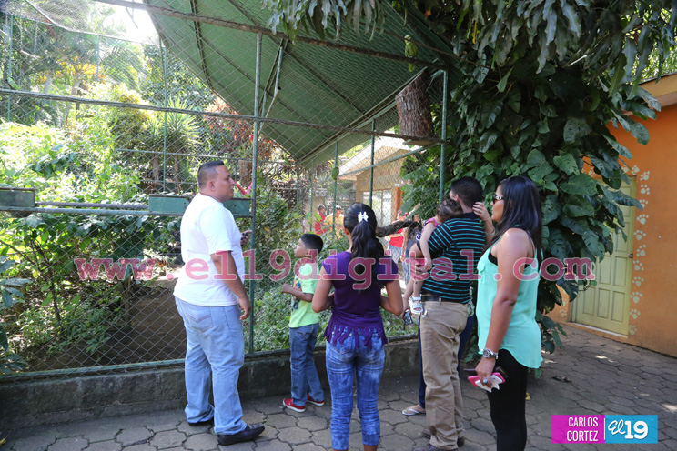 Visitar el Zoológico Nacional, una aventura que debe ser vivida por toda la familia