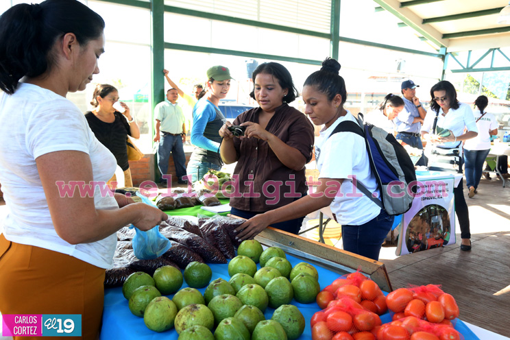 Gobierno Sandinista entrega bonos de capitalización a cooperativas de Matagalpa y Jinotega