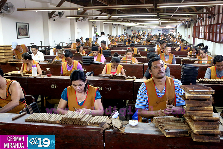 Participantes internacionales del V Festival del Tabaco “Puro Sabor” visitan fábricas de Estelí