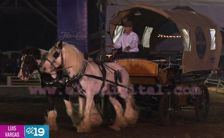 Nicaragua inaugura X Feria del Caballo Pura Raza Española