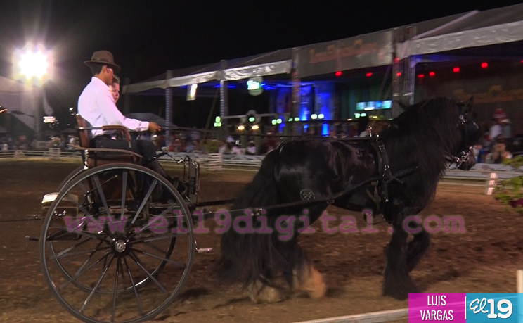 Nicaragua inaugura X Feria del Caballo Pura Raza Española