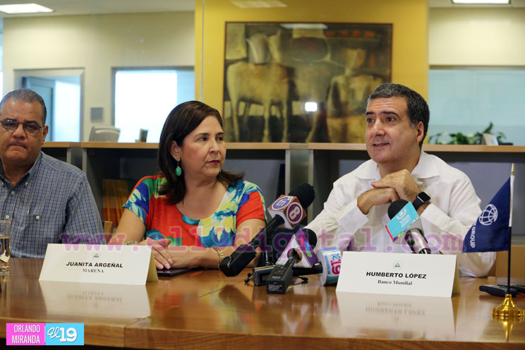 Banco Mundial y Marena prepararán programa para reducción de emisiones por deforestación y degradación ambiental