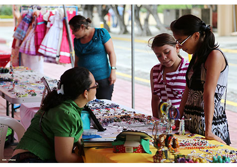 AN saluda 34 aniversario de la Revolución con Feria de la Economía Familiar