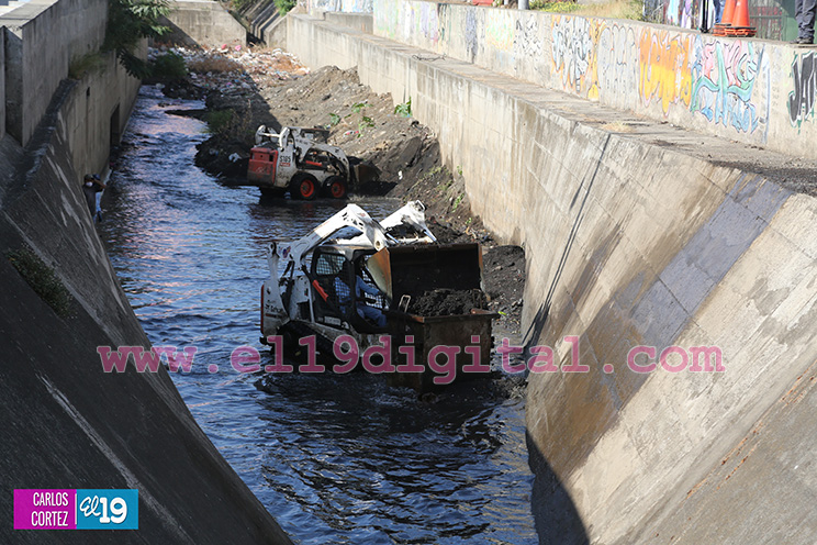 Alcaldía retira sedimentos y basura de cauce El Dorado