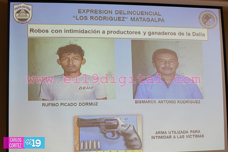 Policía Nacional desarticuló cinco agrupaciones delincuenciales en última semana