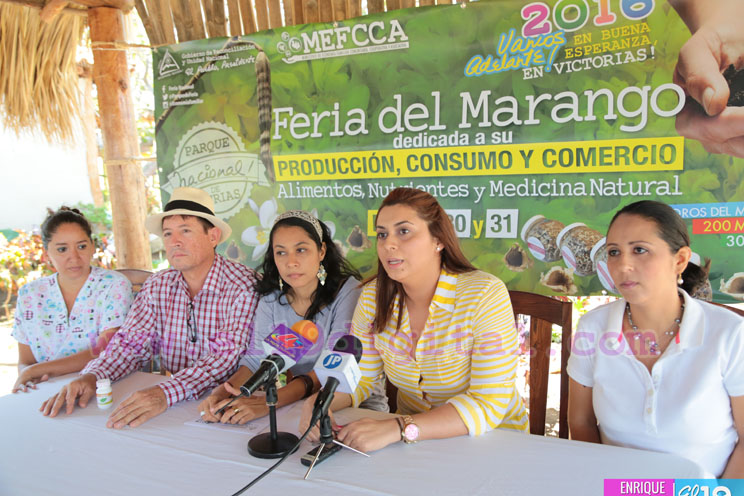 Anuncian feria dedicada a la producción, consumo y comercio de marango