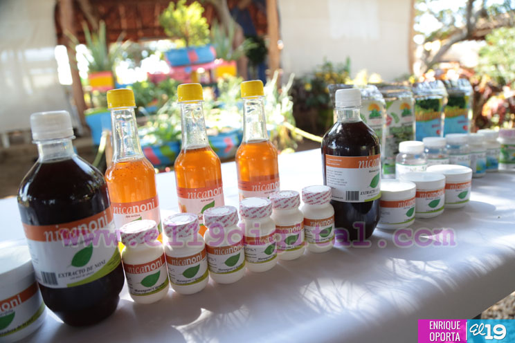Anuncian feria dedicada a la producción, consumo y comercio de marango