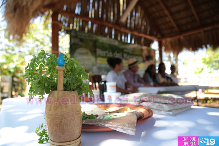 Anuncian feria dedicada a la producción, consumo y comercio de marango