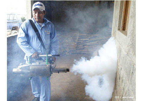 Gobierno y población en lucha frontal contra el dengue
