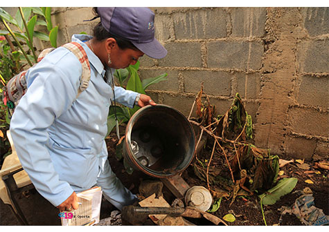 ¡Todos a eliminar los calaches para evitar el dengue!