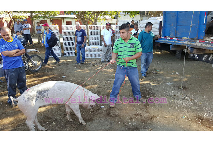 Familias del Distrito III reciben Bono Productivo Alimentario