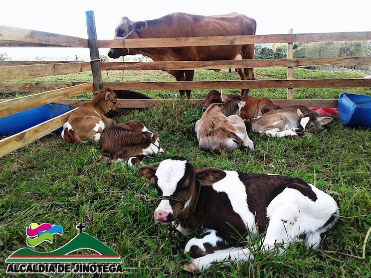 Inauguran nuevo Instituto Tecnológico en Asturias, Jinotega