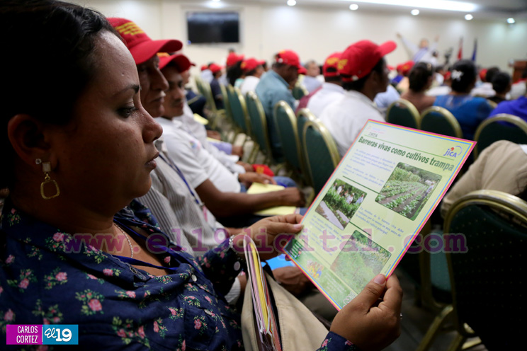 Concluye Primer Congreso Internacional Para la  Producción Sostenible de Cacao Fino