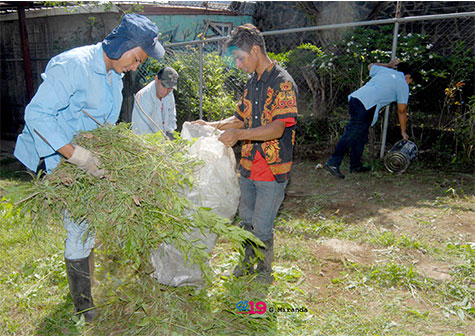 Instituciones en lucha intensa para destruir criaderos de mosquitos en el Distrito VII