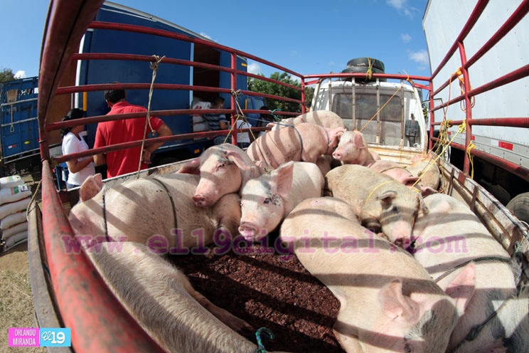 Bono Productivo Alimentario dinamiza la economía de las familias