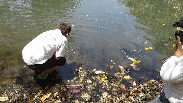 Químicos provocaron muerte de peces en León