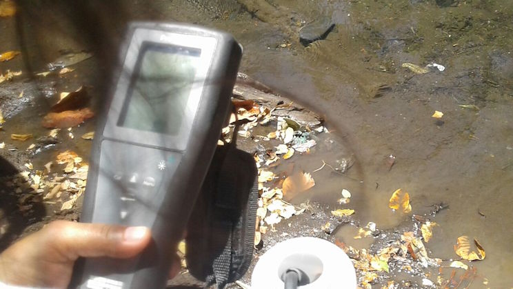 Químicos provocaron muerte de peces en León