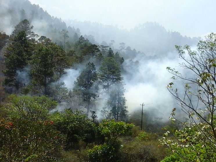 Fuerte incendio forestal en cerro La Coquimba de Dipilto