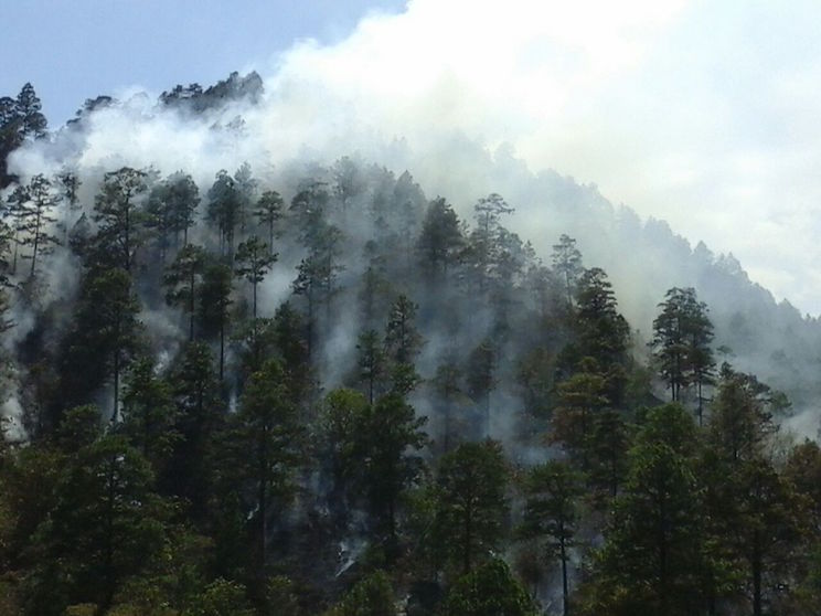 Fuerte incendio forestal en cerro La Coquimba de Dipilto