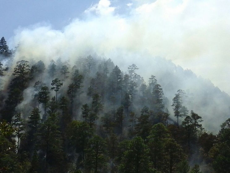 Fuerte incendio forestal en cerro La Coquimba de Dipilto