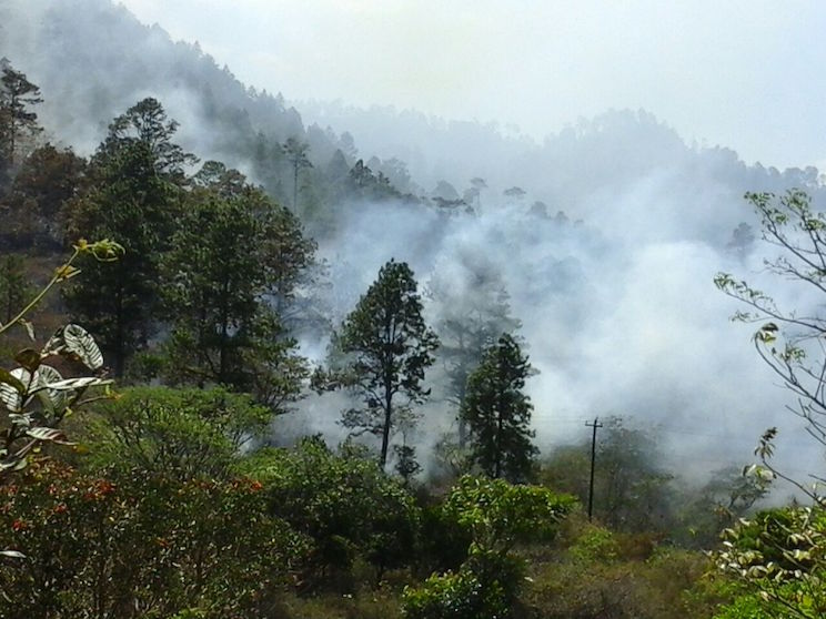 Fuerte incendio forestal en cerro La Coquimba de Dipilto