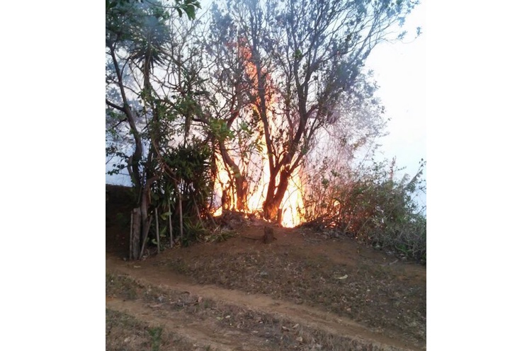 Incendio forestal arraza 200 manzanas de bosque en El Crucero