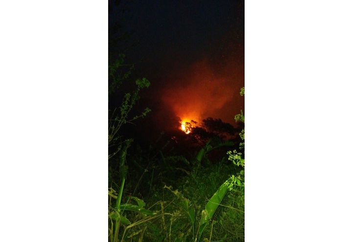 Incendio forestal arraza 200 manzanas de bosque en El Crucero