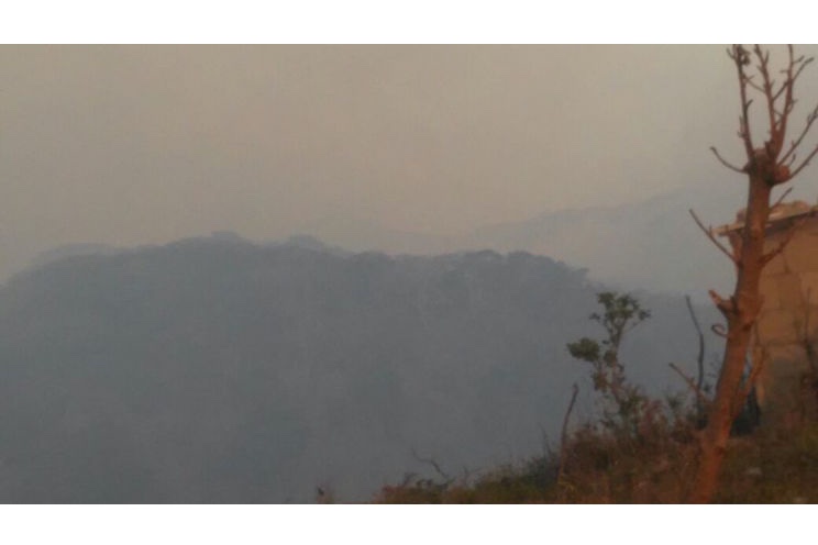 Incendio forestal arraza 200 manzanas de bosque en El Crucero