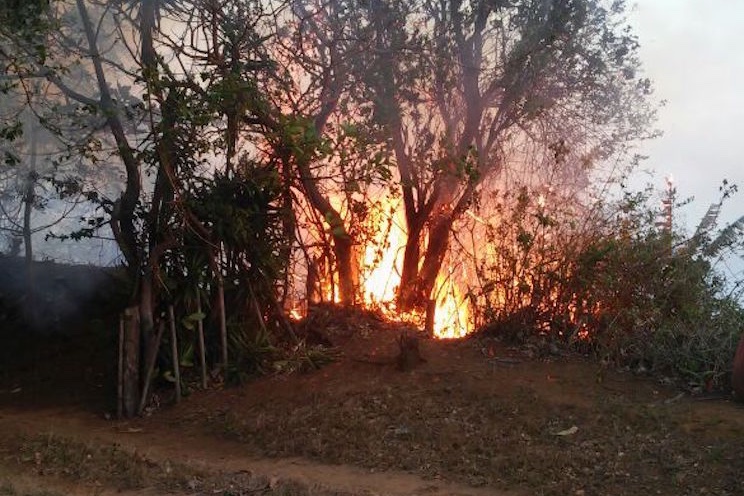 Incendio forestal arraza 200 manzanas de bosque en El Crucero