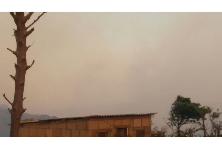Incendio forestal arraza 200 manzanas de bosque en El Crucero