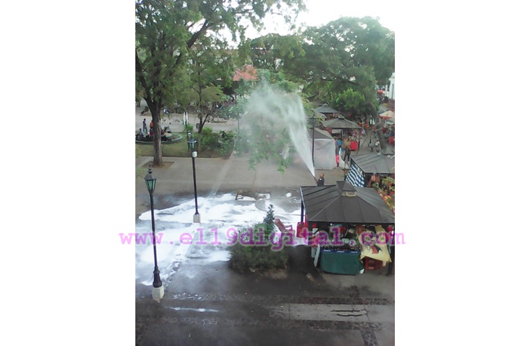 Bomberos eliminan dos colmenas de abejas africanizadas en Parque Central de León