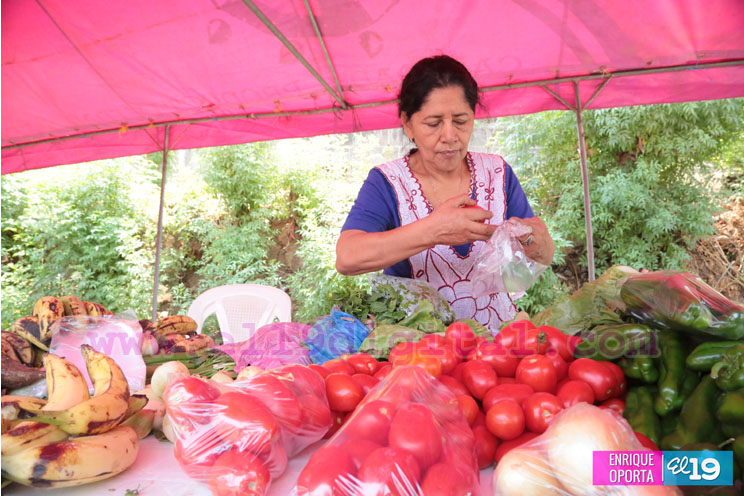 Ferias promueven producción local en barrios capitalinos