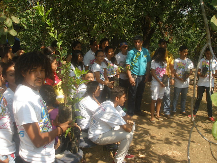 Jóvenes del departamento de León lanzan jornada “Yo adopto un árbol”