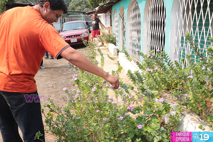 Barrio Nora Astorga en guerra contra las epidemias