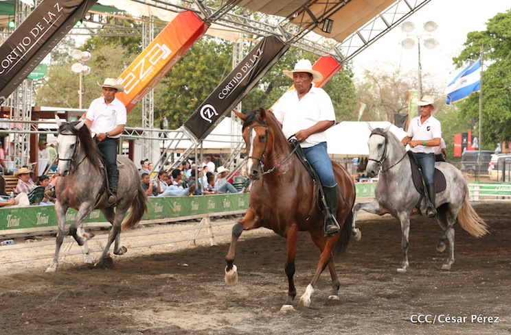 Feria exhiben la belleza y destreza del caballo iberoamericano