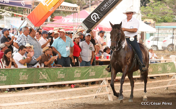 Feria exhiben la belleza y destreza del caballo iberoamericano