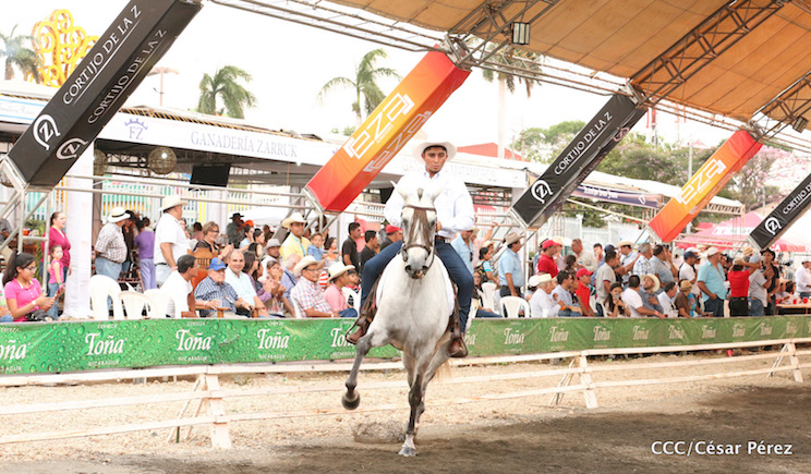 Feria exhiben la belleza y destreza del caballo iberoamericano