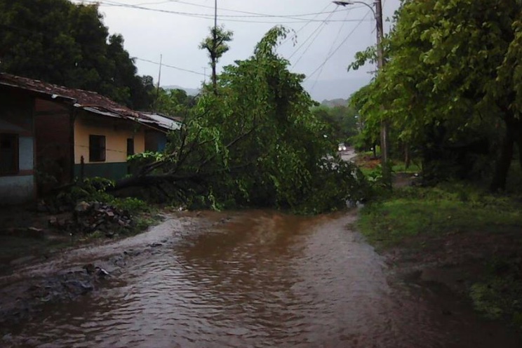 Fuertes lluvias y vientos dejan afectaciones en algunas zonas del país